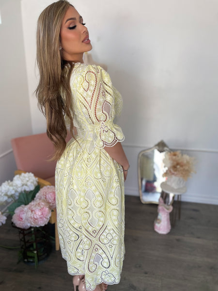 LILIAN LACE GARDEN DRESS