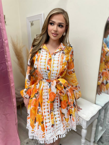 THE ALESSANDRA DRESS